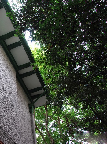 岳阳路45号（上海老房子）