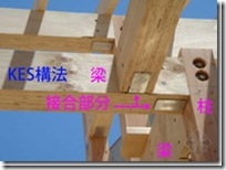 日本木造住宅金属连接件（木结构节点实物）