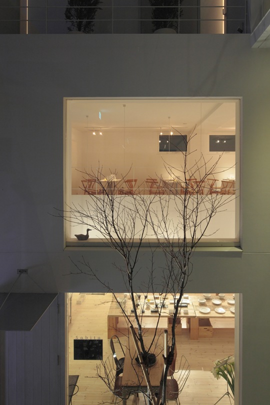 MOMA PLACE-日本小住宅设计