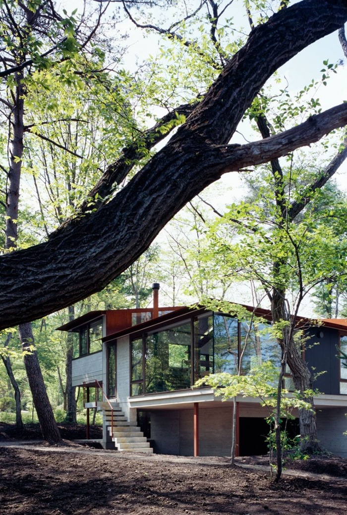 林中小屋